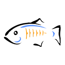 Glassfish