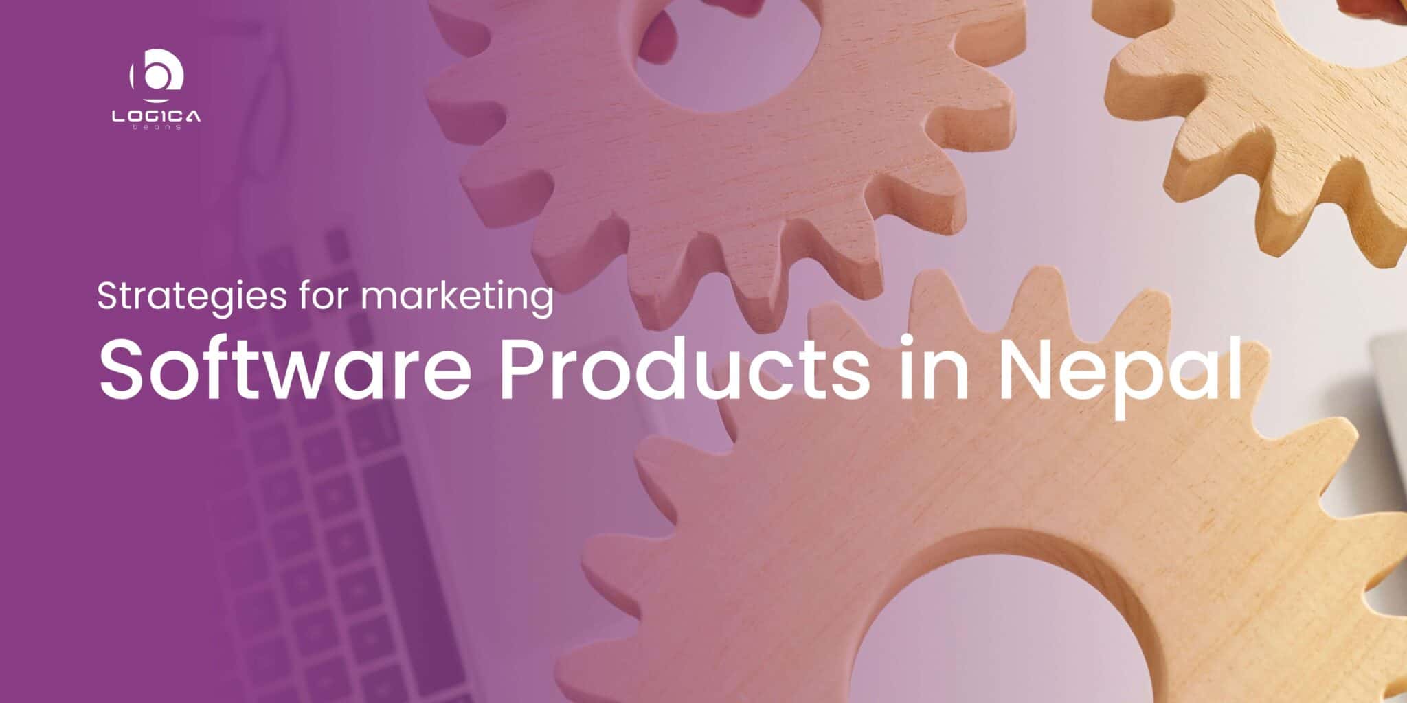 6 Strategies for Marketing Software Products in Nepal