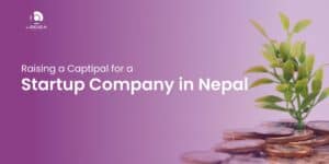 raising a capital for startup company in nepal