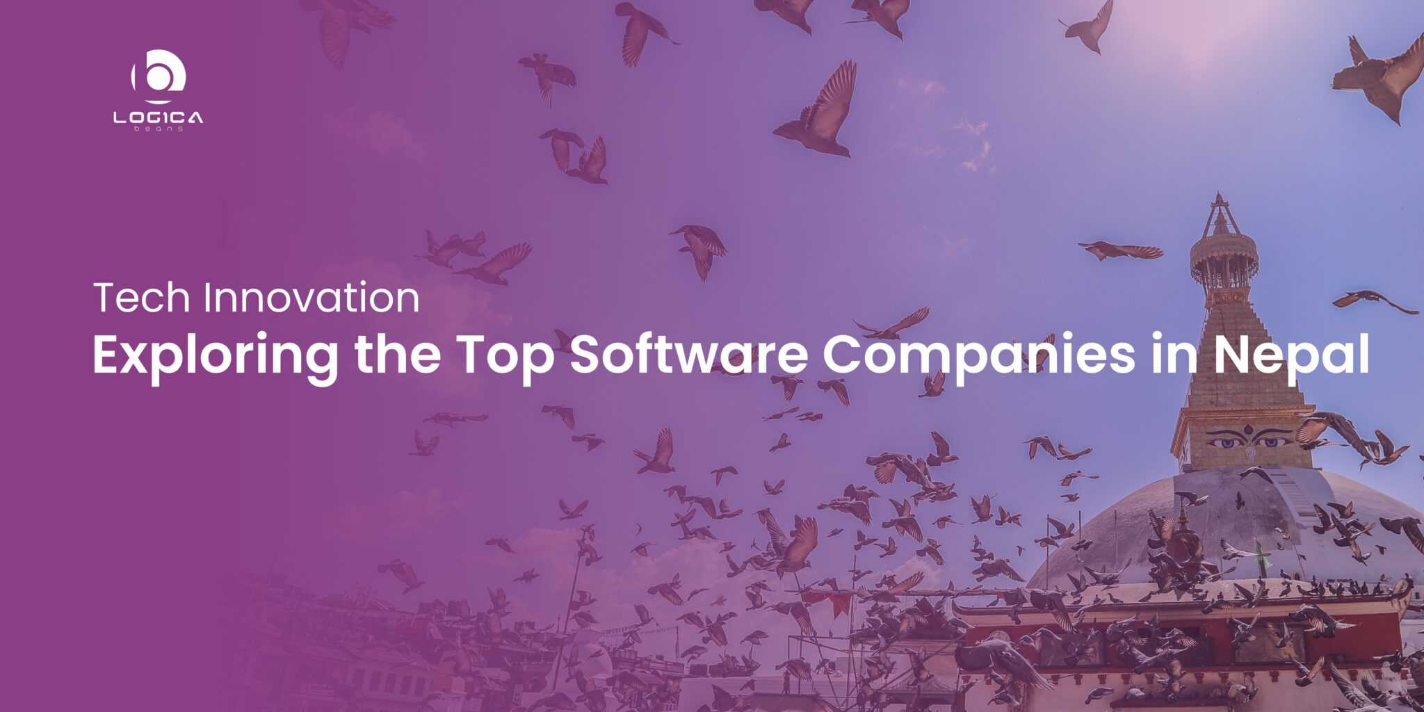 Exploring the Top Software Companies in Nepal